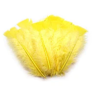 Pene decorative de curcă, lungime 11-17 cm (pachet 20 buc.) - galben