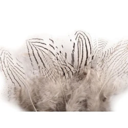 Pene decorative de fazan, lungime 5 - 11 cm (pachet 20 buc.) - alb