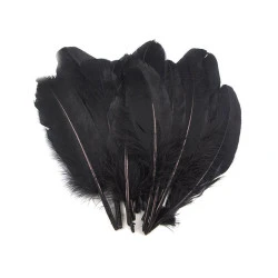 Pene decorative de gâscă, lungime 15-21 cm (pachet 5 buc.) - negru