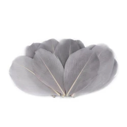 Pene decorative de gâscă, lungime 5-7 cm (pachet 10 buc.) - gri deschis