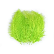 Pene decorative de struț, lungime 9-16 cm - verde lime