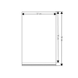 Clear Plastic Self-Adhesive Seal Bags 22x35 cm (package 100 pc.)