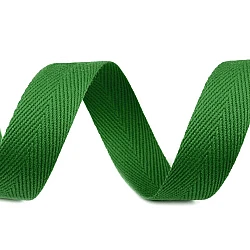 Herringbone twill tape width 20 mm - Pastel green (50 Meters)