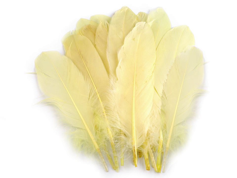 Pene decorative de gâscă, lungime 15-21 cm (pachet 5 buc.) - galben deschis Pene decorative de gâscă, lungime 15-21 cm (pachet 5 buc.) - galben deschis