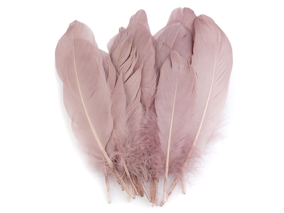 Pene decorative de gâscă, lungime 15-21 cm (pachet 5 buc.) - roz antic Pene decorative de gâscă, lungime 15-21 cm (pachet 5 buc.) - roz antic