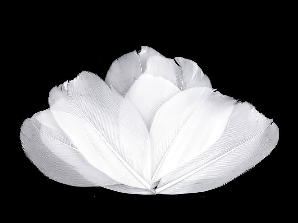 Pene decorative de gâscă, lungime 5-7 cm (pachet 10 buc.) - alb Pene decorative de gâscă, lungime 5-7 cm (pachet 10 buc.) - alb